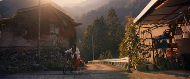 Lutify -LUTS Pack 186