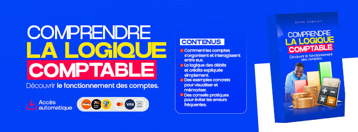 Les Comptes Décryptés : Comprendre enfin la logique comptable