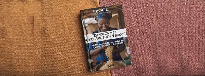 50 projets rentables en Afrique à partir de 500.000 FCFA : Projets Agriculture et Élevage.