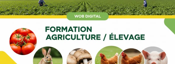 Formation en Agriculture et Élevage : 80+ Types d'Élevages et de Cultures