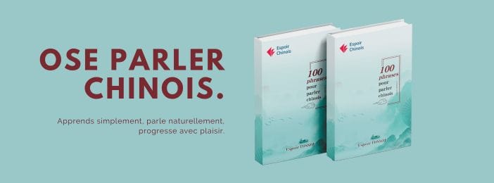 100 Phrases Pour Parler Chinois