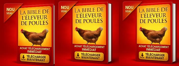 LA BIBLE DE L’ÉLEVEUR DE POULES