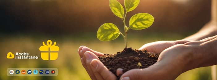 Démarrez Votre Potager Bio: 10 Astuces Simples Pour Réussir