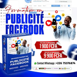 DEVENEZ EXPERT EN PUBLICITÉ FACEBOOK ADS