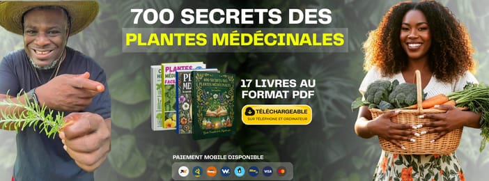 Pack Santé Plus - 700 remèdes naturels pour rester en meilleure santé malgré l'âge (17 livres PDF)