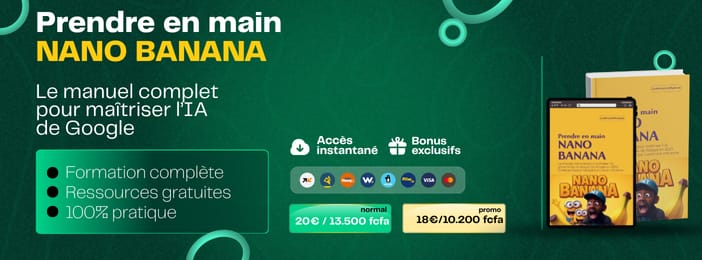 Prendre en main NANO BANANA