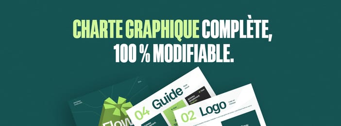 La Charte Graphique que tout designer aurait rêvé d’avoir !