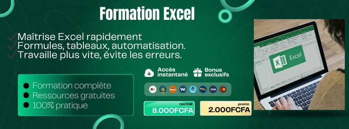 Excel Pratique : gérer ses calculs, son argent et son travail.