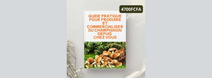 Produire et Vendre des Champignons Rentables – Le Guide Pratique Complet