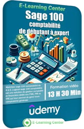 Sage 100 comptabilité de débutant à expert