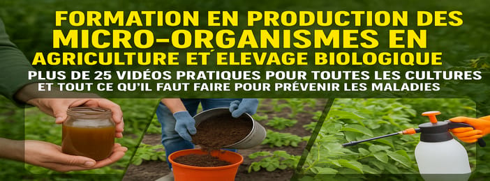 FORMATION A LA PRODUCTION DES MICRO-ORGANISMES