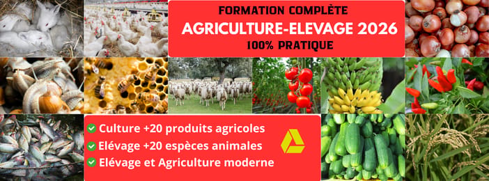 🍅🌱🐑PACK COMPLET ELEVAGE - AGRICULTURE 2025-2026