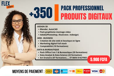 Pack de 350 Produis Digitaux Téléchargeables avec Droits de Revente LogicielsPro inclus