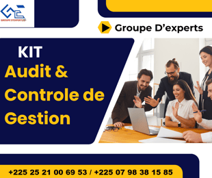 PACK AUDIT ET CONTROLE DE GESTION +100 VIDEOS