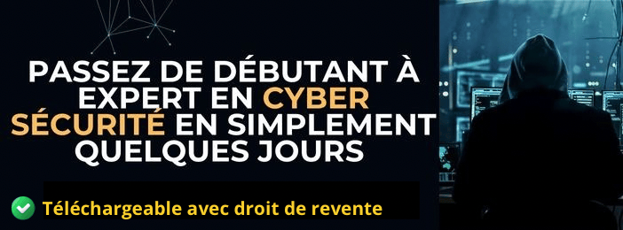 Formation pratique en Cyber sécurité