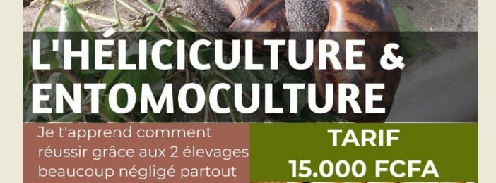 FORMATION en Elevage d'escargots et des Hannetons