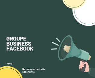 LISTE DES PAGES BUSINESS FACEBOOK