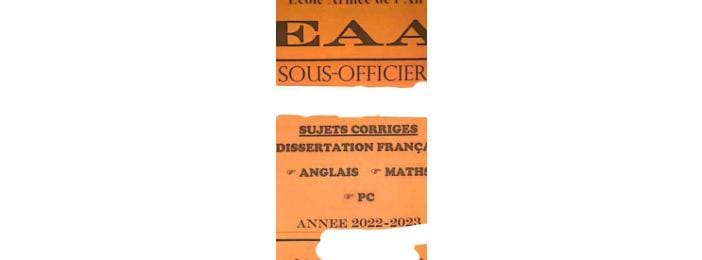 Fascicule Armée de l'Air Bac