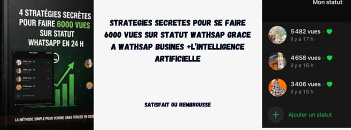 4 Stratégies Secrètes Pour Obtenir 6000 Vues Sur Statut WhatsApp en 24 H