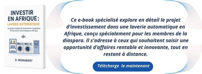 Investir dans une Laverie Automatique en Afrique