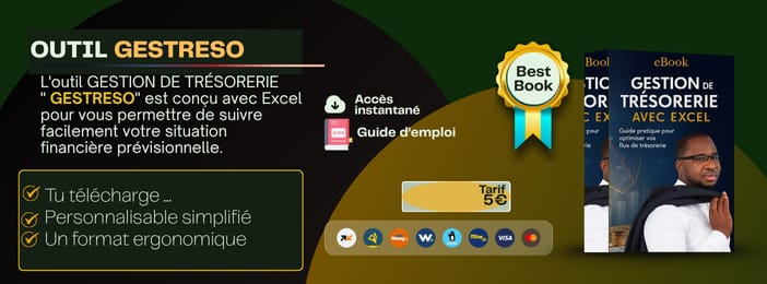 OUTIL DE GESTION DE TRÉSORERIE: Gestion Totale du Cash, Factures & Retards