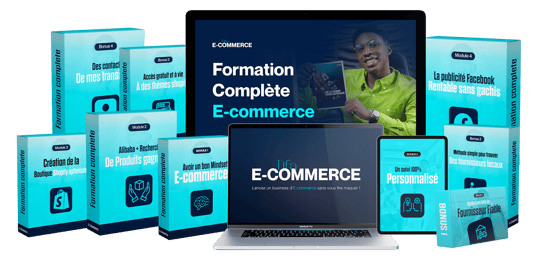 E-COMMERCE EN AFRIQUE