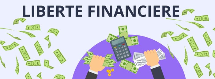 Enfin Libre: Devenir totalement libre grâce au e-commerce