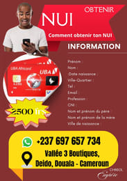 Obtenir ton NUI rapidement