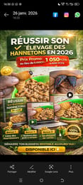 Réussir son élevage des hannetons en 2026