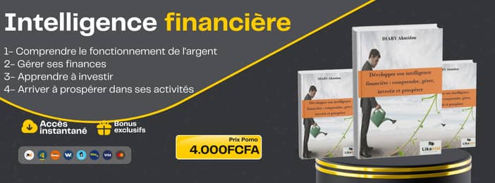 Développer son intelligence Financière : Comprendre, Gérer et Prospérer