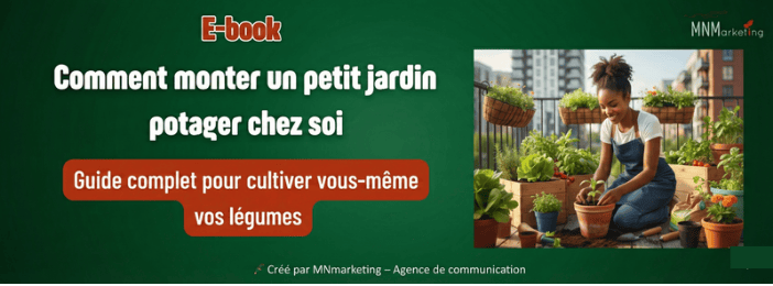 Guide complet pour monter un petit jardin potager chez soi