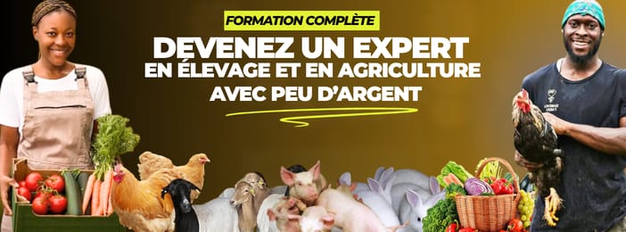 Devenez expert en agriculture et en élevage avec peu d'argent