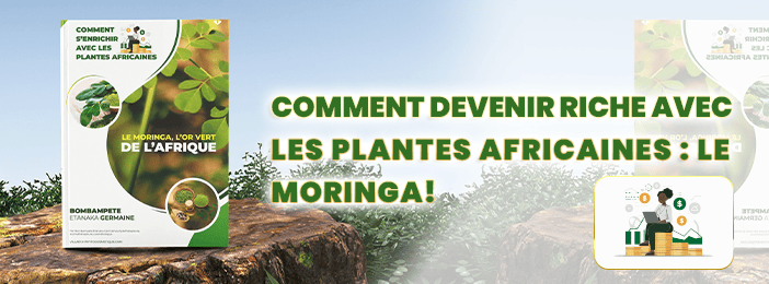COMMENT DEVENIR RICHE AVEC LES PLANTES AFRICAINES : LE MORINGA L'OR VERT.