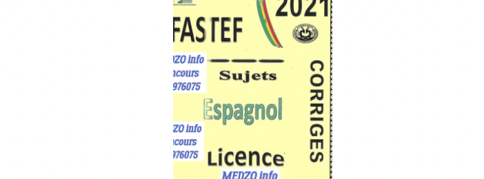 FASTEF ESPAGNOL LICENCE