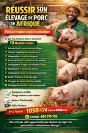 Réussir son élevage de porc