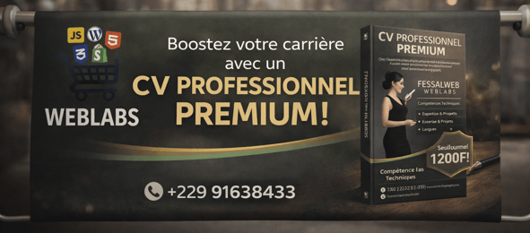 CV PROFESSIONNEL MODIFIABLE (3)