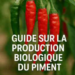 Guide pour la Production Bio du Piment