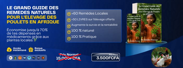 Réduis 70% de tes dépenses en médicaments avec ce guide des remèdes naturels pour poulets