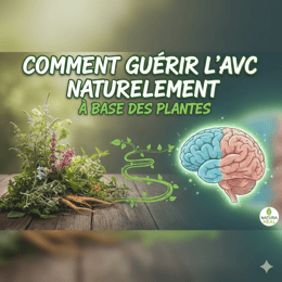 DE L'AVC A LA GUERISON