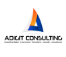 Adigit Consulting