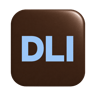 Digital Leader Impact