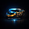Saliou Digital