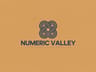 NUMERIC VALLEY