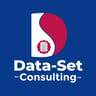DATA-SET CONSULTING