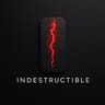INDESTRUCTIBLE
