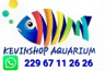 KEVINSSHOP229 AQUARIUM