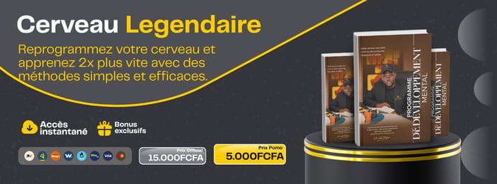 Découvrez les méthodes d'apprentissage que l'école ne vous jamais enseignées.