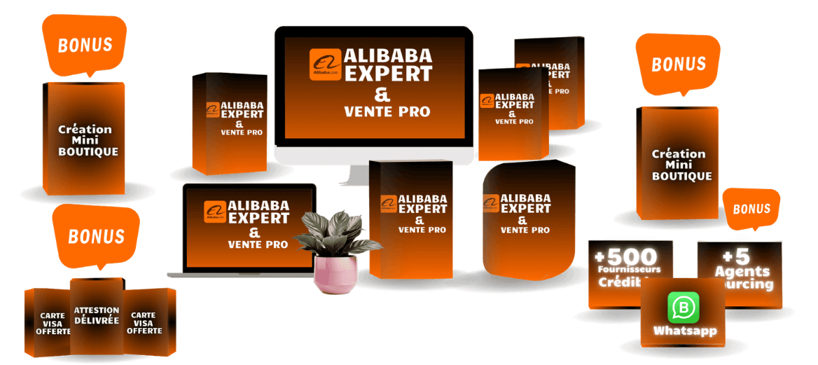 ECOM-EXPERT-ALIBABA