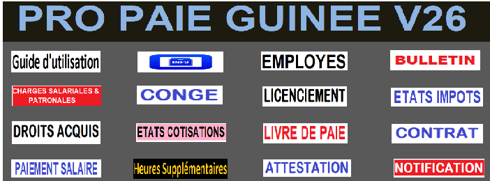 PRO PAIE GUINEE V26 (Guinéenne)