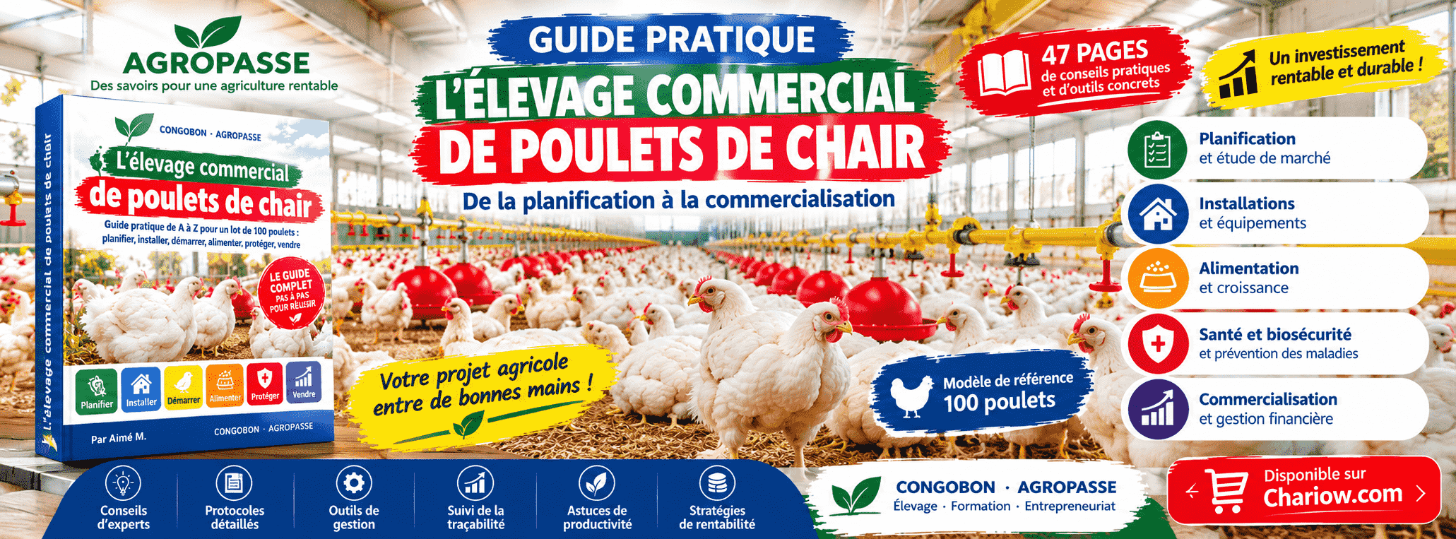 Guide de l’élevage commercial de poulets de chair